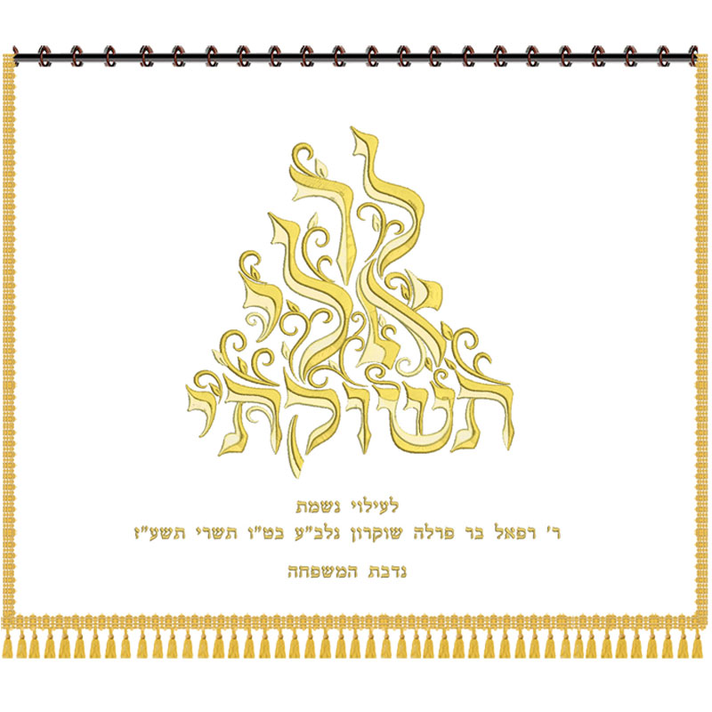 פרוכת לארון קודש דגם 4270011